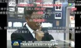 海安网友爆料新闻视频播放,海安新闻视频引发热议，详情曝光！